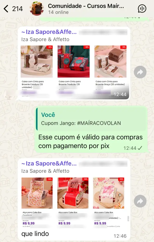 Print da comunidade no WhatsApp